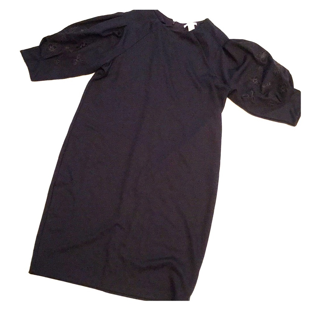 Tunic style dress with embroidered sleeve